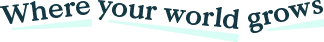 cdo logo